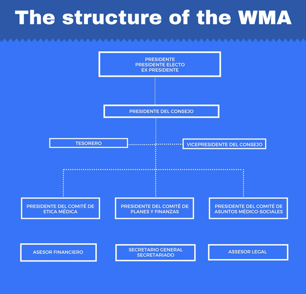 estructura AMM